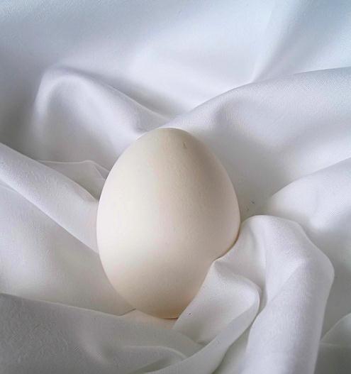 9. O ovo e a galinha Narrador: Primeira Tema: a