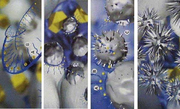 ADITIVOS TENSOATIVOS: HIPERPLASTIFICANTES (SP II de 3ª geração +) Gleniun