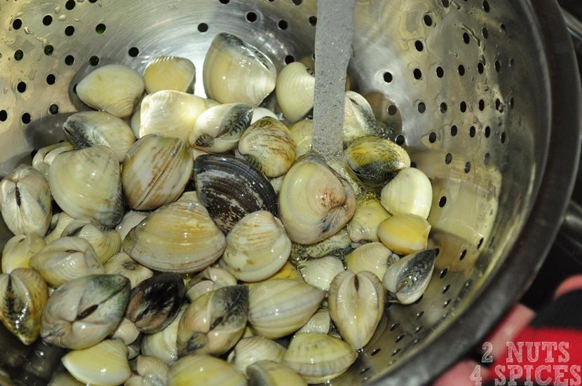 Lave muito bem as vôngoles em água corrente, o objetivo é que, qualquer resíduo na parte externa das conchas,