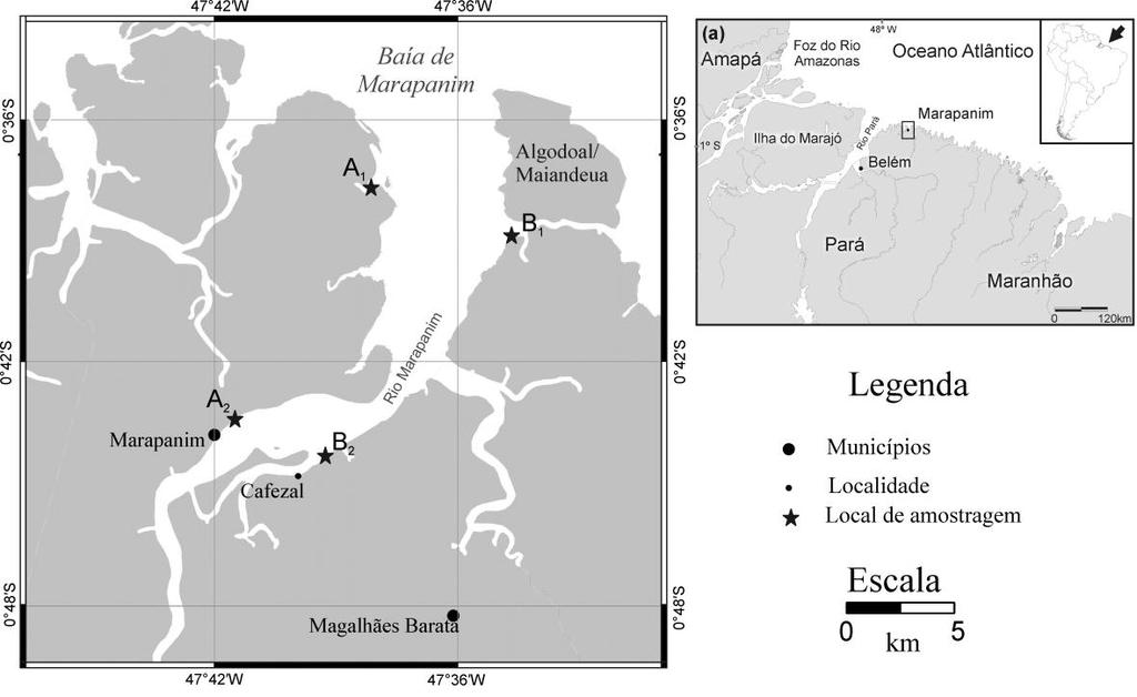 46 Fig. 2. Localização geográfica da área de estudo, com indicação dos quatro locais de coleta no estuário do Rio Marapanim - A1 e A2 (margem oeste), B1 e B2 (margem leste). Mapa: Allan Jamesson.