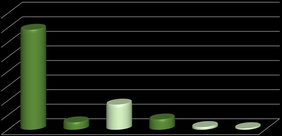 Nº Documentos Indexados (204) Produção científica da UBI indexada na SCOPUS e Web of Science 4 WoS Produção Científica UBI A análise pormenorizada dos documentos UBI indexados na Web of Science nos