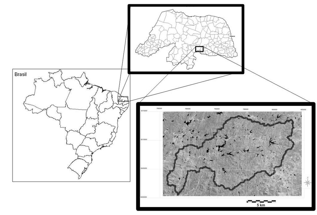 2007), uma vez que, proporciona um armazenamento de água (através da contenção de água pelos poros dos solos localizados a montante do barramento) aumentando assim a macroporosidade da superfície,