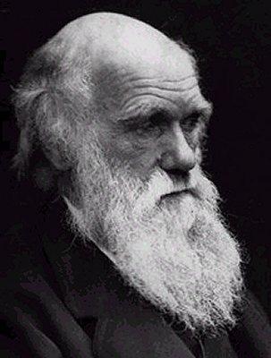 Galton e Darwin Charles Darwin (1809-1882) Em seu livro 1876, The Effect of Cross- and Self-fertilization in the Vegetable