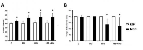 Figura 1. A) Glicemia de jejum de camundongos B6 ao longo de 16 semanas. *DP vs HFD 4ª, 8ª, 12ª e 16ª semana (p 0,0001). B) GTT de camundongos B6 ao longo de 16 semanas.