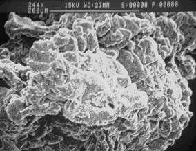 CONCLUSÃO Figura 6- Espectro de FTIR da mistura XNBR/PMMA e PMMA puro Microscopia eletrônica de Varredura- MEV: as Figuras 7 e 8 apresentam as micrografias das misturas XNBR/PMMA e XNBR/PS obtidos