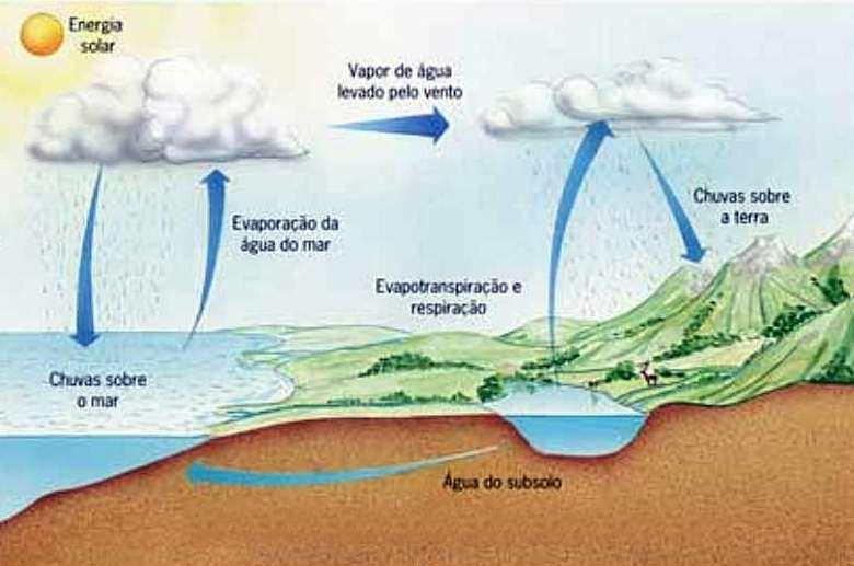 Ciclos biogeoquímicos CICLO DA