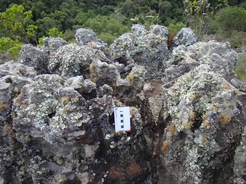 As rochas dos Campos Gerais apresentam-se fortemente deformadas por estruturas rúpteis (falhas e fraturas com ou sem diques associados), destacando-se três direções principais (ZALÁN et al.