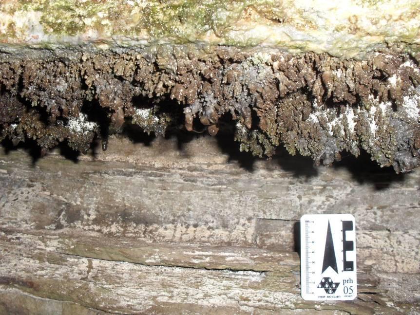 7 Espeleotemas Na Formação Furnas os espeleotemas são localizados em cavidades e até mesmo em paredões em superfície.