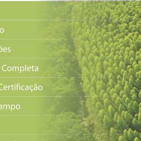 Para obter a certificação florestal, a empresa ou comunidade é avaliada por uma equipe multidisciplinar, segundo os padrões estabelecidos de desempenho ambiental, social e econômico.