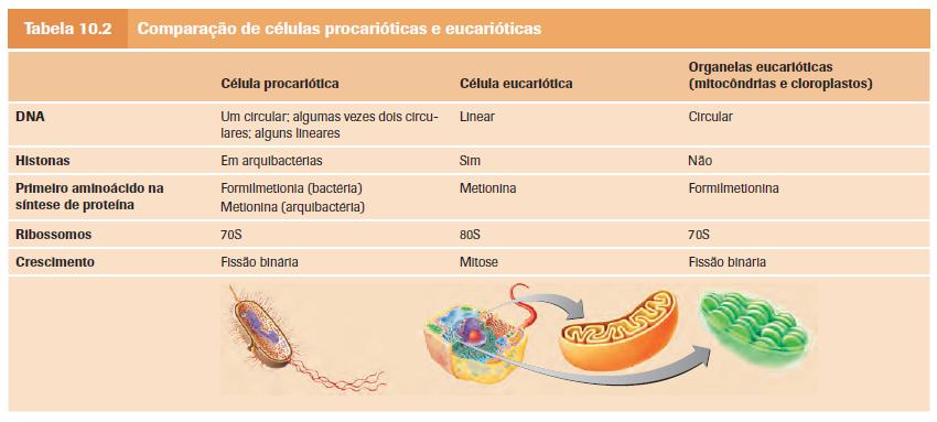 COMPARANDO