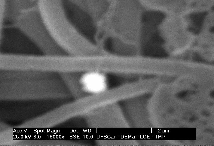 A tabela 3 mostra os resultados obtidos por EDS realizado no MEV da manta e do filme contendo 2% de nanopartículas de prata-dióxido de titânio.