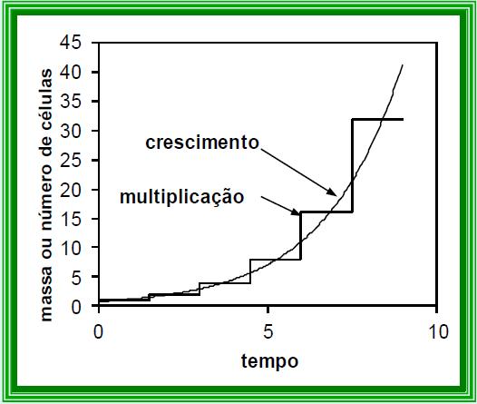 4) Crescimento microbiano Diferença entre crescimento e multiplicação celular CRESCIMENTO: aumento ordenado de todos os constituintes de uma célula (efetua-se a todo momento).