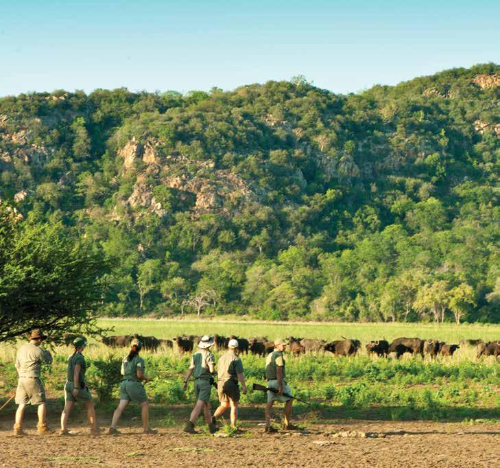 Guia de Safaris - Curso Ranger Já sonhou ser um Ranger em África? Gostaria de realizar esse sonho? Torne o sonho em realidade assistindo a um dos cursos EcoTraining, em plena savana Sul-Africana.