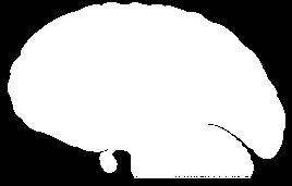 Propensão para causar efeitos negativos Via Mesocortical Via Nigroestriatal Propensão para causar efeitos extrapiramidais ASG 5-HT 2A O antagonismo dos recetores 5-HT 2A nas vias mesocortical,