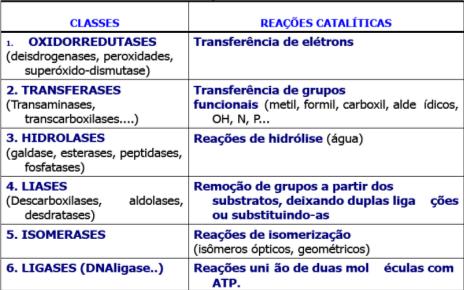 NOMENCLATURA DAS ENZIMAS: COMPONENTES DAS ENZIMAS Embora as enzimas são constituídas de proteínas: -Uma grande parte: APOENZIMA -Um componente não protéico: COFATOR Íons de Ca, Fe, Zn, Mg: auxiliam