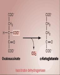 Fosfoenolpiruvato 3-Fosfoglicerato