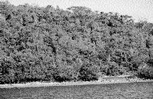 Localizada no município fluminense de Campos dos Goytacazes, essa lagoa tem cerca de 13,5 km 2, recebe águas dos rios Imbé (do tipo lótico, ou seja, de águas rápidas) e Urubu (do tipo lêntico, ou