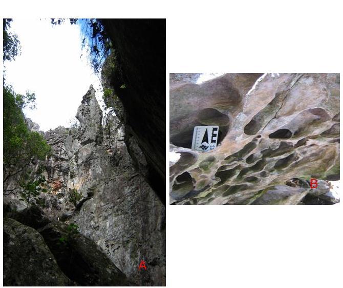 - 10 - Figura 5 - (A) vista do interior do maciço, destacando-se a estrutura ruiniforme na porção superior da escarpa, (B) rocha quartzítica, apresentando nichos de karrens alveolares e coalescências