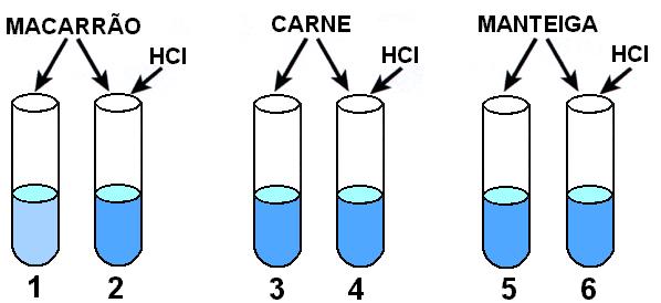 Q.01 Uma enzima, extraída da secreção de um órgão abdominal de um cão, foi purificada, dissolvida em uma solução fisiológica com ph 8 e distribuída em seis tubos de ensaio.