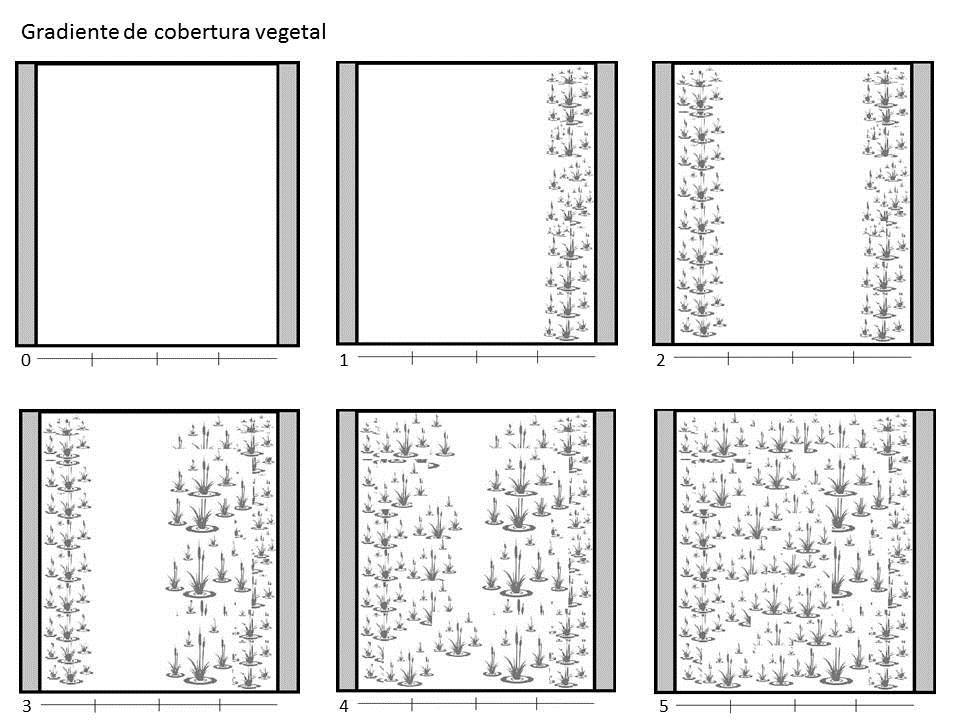 Figura 9 Esquema representativo da avaliação do gradiente de cobertura vegetal nas conexões.
