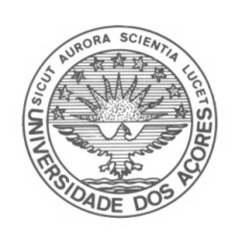 Universidade dos Açores Relatório de Estágio para obtenção do grau Mestre em Ciências Económicas e Empresariais