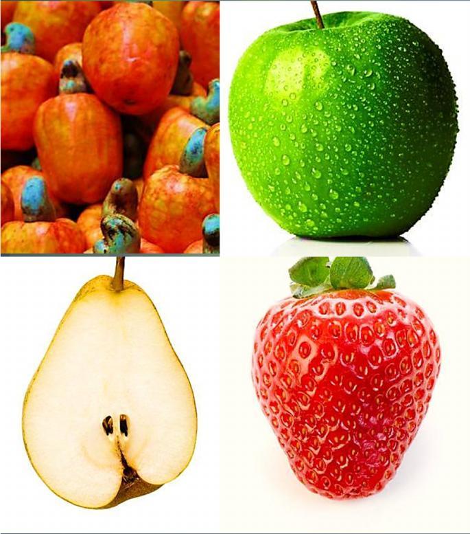 Pseudofrutos Alguns tipos de frutos, não são formados pelo ovário fecundado, sendo outra região a responsável. Eles são chamados de Pseudofrutos.