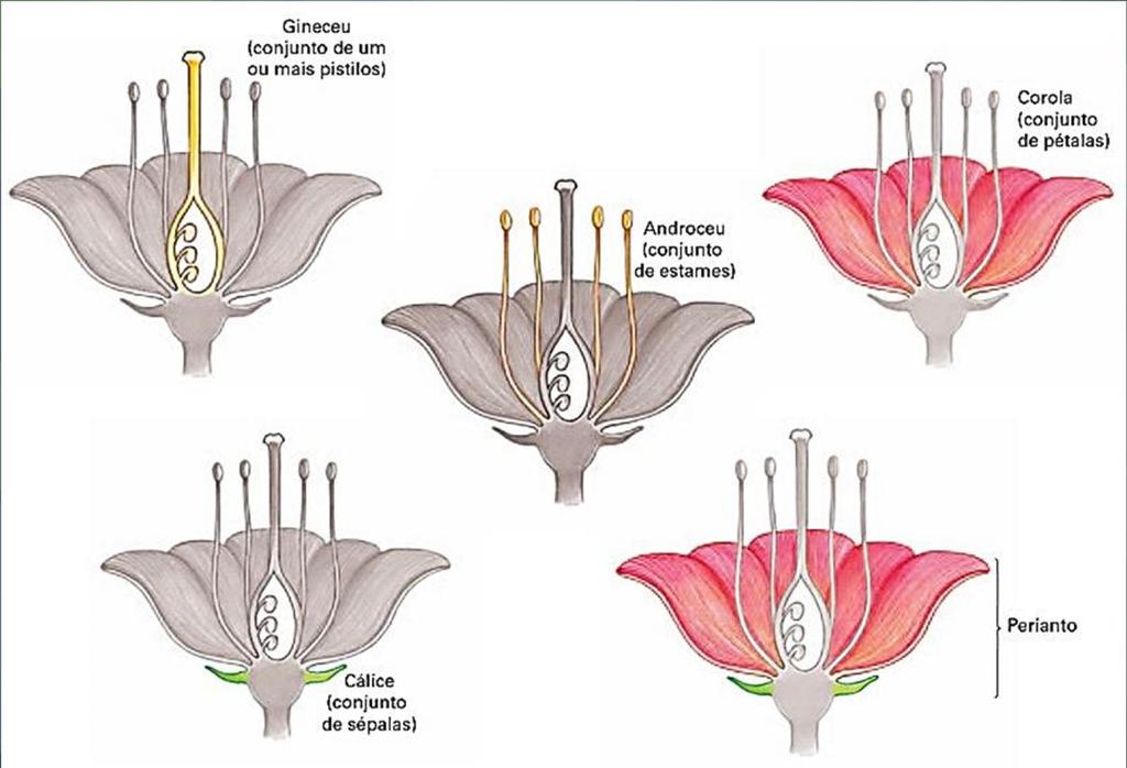 Coletivos de peças