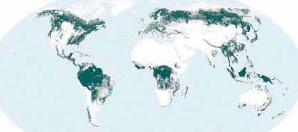 1 Importância Fitossanidade Florestal Contexto Internacional Ocupação Florestal Florestal Não florestal Água (FAO, FRA 2010) Área florestal total 4 biliões hectares,