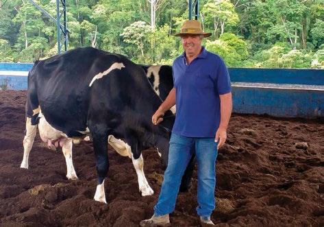Após buscar orientação técnica, o proprietário do sítio Pedra Branca, em Cunha, fez um investimento de R$ 90 mil e hoje conta com um galpão de 420 metros², onde ficam 42 vacas.