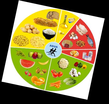 - Os 6 grupos de alimentos de acordo com as características nutricionais: Hidratos de carbono, frutas, vegetais, produtos lácteos, gorduras e proteínas.