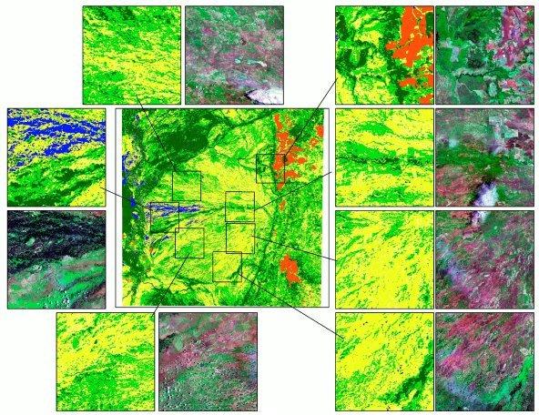 Figura 3. Classificação não supervisionada em 5 classes para o lobo aluvial do Pantanal (imagem central) e detalhes comparando a classificação com imagens do satélite Landsat.