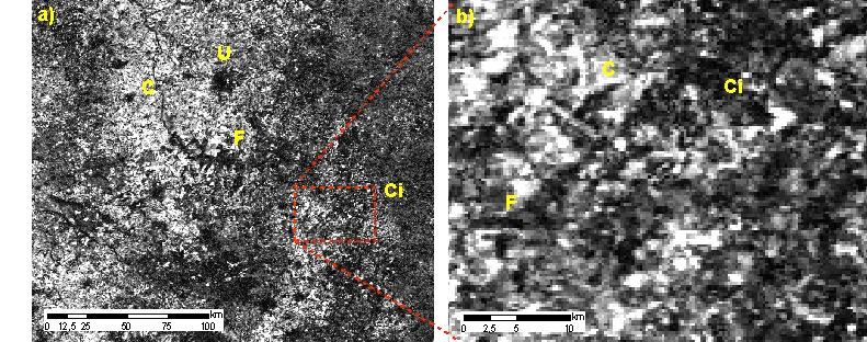 Figura 3. a) Amplitude da componente 1, correspondente a oscilação anual do NDVI para a região de Ribeirão Preto e b) detalhe em área com culturas anuais irrigadas, silvicultura e cana-de-açúcar.