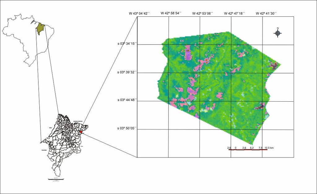 os sensores orbitais pela comunidade científica, destacam-se CBERS-2 (Chine-Brazil Earth Resources Satellite), e mais atualmente o MODIS (Moderate resolution Imaging Spectroradiometer).