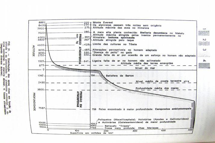 Pressão Atmosférica Distribuição dos seres vivos em função da altitude e da profundidade: 1. Plataforma continental; 2.