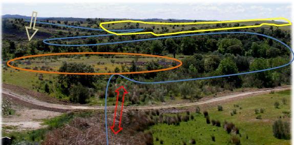 QUADRO 11 O Eucalipto e a Biodiversidade Existem referências B, baseadas em dados reais,