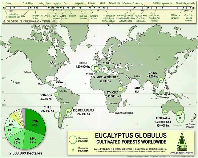 QUADRO 6 Distribuição mundial do Eucalyptus globulus: Uma espécie pouco dispersa, por