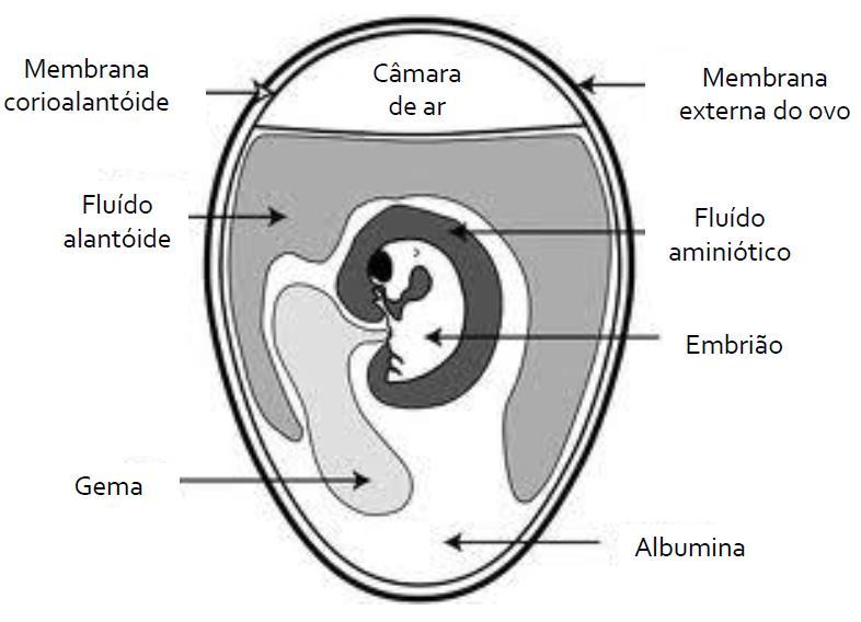 Outras formas de