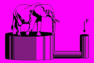 Exemplo 04: Um adestrador quer saber o peso de um elefante.