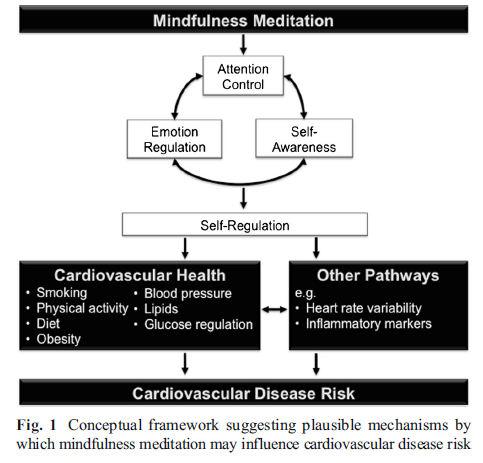 Mindfulness evidência