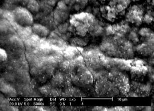 As Figuras 6(a) e (b) mostram as imagens micrográficas da superfície (caracteristicas mofológicas do aço), após imersão em solução na ausência e na