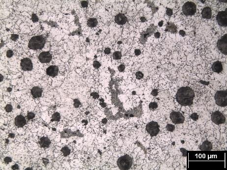 11: Microestruturas obtidas em