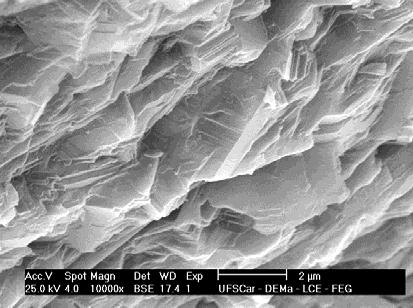 112 Micrografias da superfície de fratura do material controle IPS e.max após 103 ciclos e 50% da carga nominal, podem ser vistas nas Figuras 32 (a) e (b).