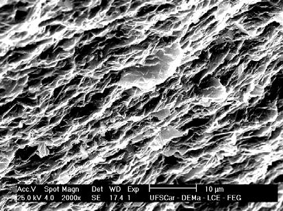 (a) (b) FIGURAS 32 (a) - Micrografia para o material controle IPS e.max fraturado com 103 ciclos e 50% da carga nominal. Aumento de 2000X. (b): imagem de contraste de fase (BSE) do mesmo material.