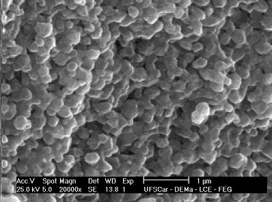 Micrografias de elétrons retro espalhados da superfície polida para o nanocompósito experimental podem ser vistas nas Figuras 44 (a) e (b).