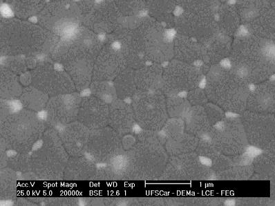 121 (a) (b) FIGURAS 44 (a) e (b) - Micrografias de elétrons retro espalhados da superfície polida para o nanocompósito experimental. Aumentos de 10000X e de 20000X, respectivamente.