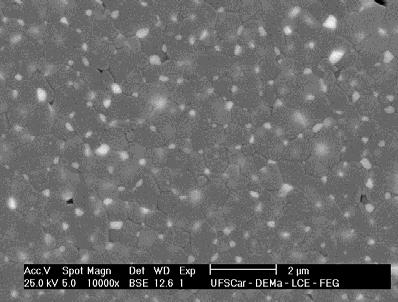 Observa-se a eficiente dispersão das partículas de zircônia, o tamanho aproximado e localização das inclusões nanométricas em pontos triplos (entre 3 grãos de alumina - setas brancas) e quádruplos
