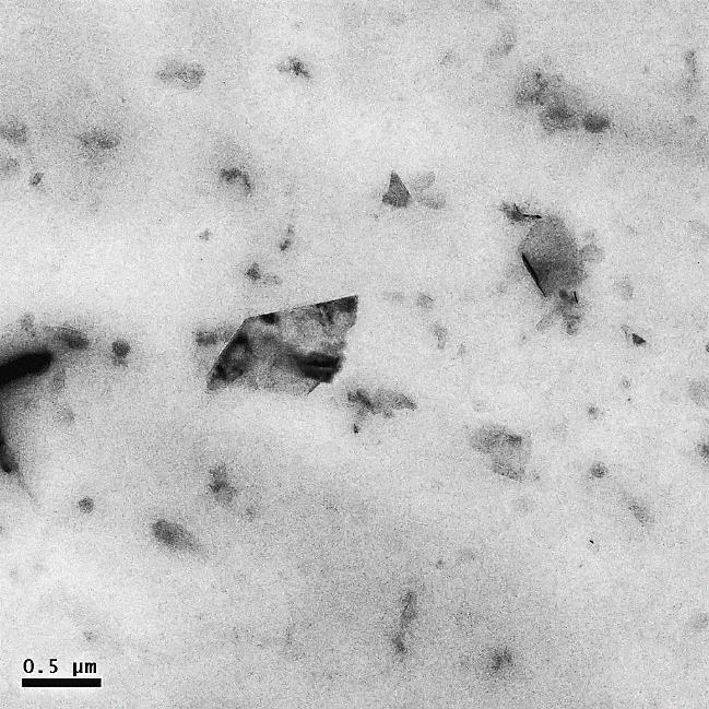 Na Figura 3b, pode-se observar uma estrutura composta por diversas camadas de grafeno aparentemente dobradas.