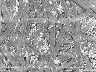 Counts[x1.E+3] 62 Figura 30: Micrografia MEV do substrato polimérico, com 430x de ampliação Fonte: Imagens obtidas no LEES da URI Santo Ângelo RS.