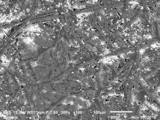 63 brancos visíveis na micrografia Figura 30 são constituídos de Cálcio (Ca), mostrando um pequeno percentual de contaminação do substrato, ocasionado na manipulação, embora tenha sido realizado todo