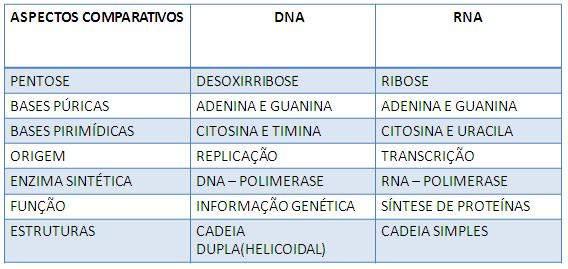 Estrutura dos